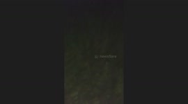 Herd on the Run and One Deer Needed Help