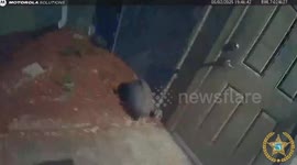 Deputies Chase Loose Bird in Bizarre Bay County, Florida Call