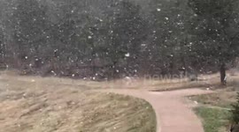US: Rare May Snow Falls in The High Country Region of Arizona