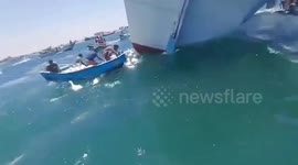 Sheep rescued from sea after ship sinks in Yemen