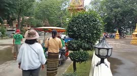 Dozens injured when giant bee swarm attacks guests at Buddhist ceremony in Thailand