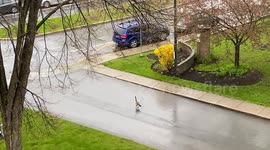 The view from my balcony one rainy morning in Canada