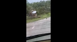 Clingy pet dog chases owner's car when they leave for work