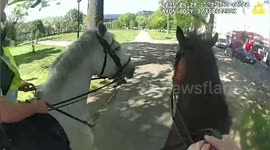 Mounted officers panic as dog bites police horse's legs