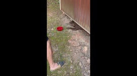 US couple frees dog trapped under building