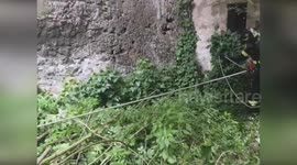Italy: Dog Rescued From 25 Meter Well In Camigliano After Three Hour Operation
