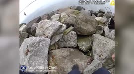 Tacoma, Washington Police Rescue Dog Stuck in Rocks at Local Park