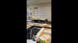 Squirrel In The Classroom
