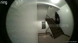 Nosey Neighbor Immediately Falls