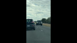 Dog sticks head out of window to bark at passing cars