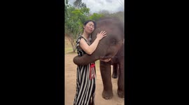 Baby elephant kisses Japanese tourist with her trunk