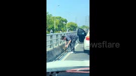 Dog with jar stuck on head wanders aimlessly into traffic before hero driver rushes to its rescue