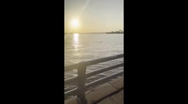 Florida police officer encounters playful dolphins during morning patrol