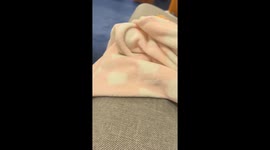 Kid eats Cheeto during church prayer in Arkansas