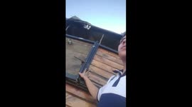 Pig attempts escape from truck in Buenos Aires, Argentina