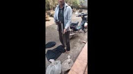 Man catches poisonous snakes with bare hands professionally