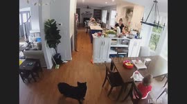 Mom Confused By Daughter's Fart