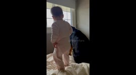 Baby Copies Rottweiler's Shake