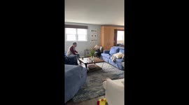 German Shorthaired Pointer Puppy Zoomies
