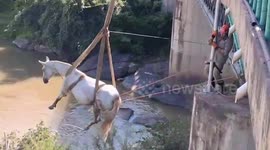 Firemen rescue horse stranded under bridge in Brazil