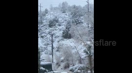 US: Spring Storm Brings Early May Snow to Colorado