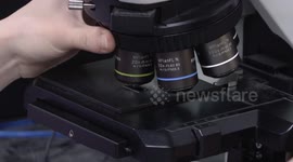 China: Chinese researchers develop world's fastest flash memory device