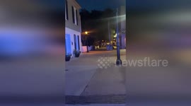 US: Bear Spotted In Downtown St. Augustine Prompts Police Response