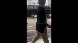 Grandmother pushes dog in stroller along street