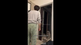 Pretending To Not See The Cat