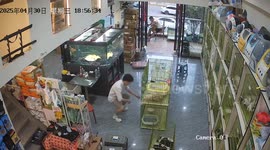 CCTV captures shop owner’s chaotic attempt to wrangle kittens into their cage