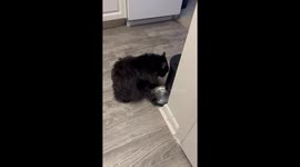 One Way to Beg for Earlier Breakfast