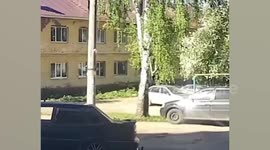 Female elk jumps into home's glass window in Russia