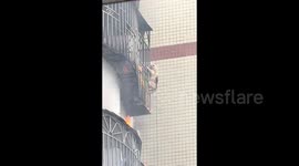 Incredible moment cat clings onto window grilles to escape apartment fire in China