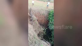 Majestic wild elephant slips into dry pit, later rescued in two-hour-long dramatic operation