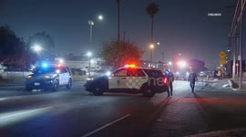 US, Los Angeles: Harbor Gateway Fatal Hit and Run Vehicle vs Bicyclist