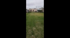 Dachshund trips and rolls while running in Carmen de Patagones, Argentina