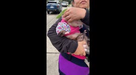 Glamorous possum steals the show with over 8 million views and counting