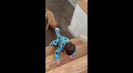 Toddler No Match For Puppy's Playing