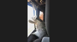 Hop In, We’re Cruisin!