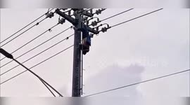 China: Man Electrocuted While Attempting To Steal Bird Nest In Wenzhou