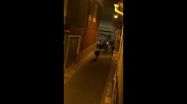 Bull responds instantly to call in Cullera, Spain