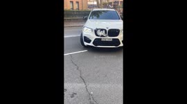 Seagull stuck on car grille freed in New South Wales