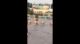 Playful dog shows off jumping skills on stone spheres in Shandong, China