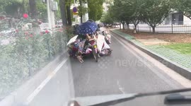Elderly woman and her dogs pull cart together on road in Hubei, China