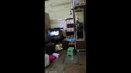 Child shows impressive rope swing skills in Pune, India