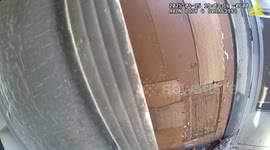 Police rescue 150 malnourished dogs and cats from home in Utah