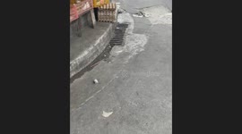 Stray dog found stuck in drain in the Philippines
