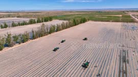 China: Smart tech ushers chili planting efficiency in Gansu