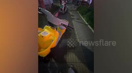 Good Samaritan takes home stray kitten on her electric scooter