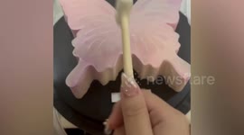 Hammer cake surprise reveals hidden treat inside... but the woman comically fails opening it